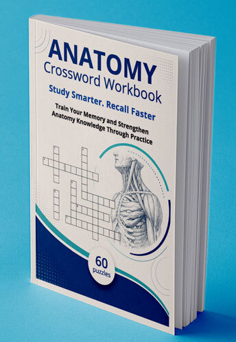 Anatomy Crossword Workbook paperback cover